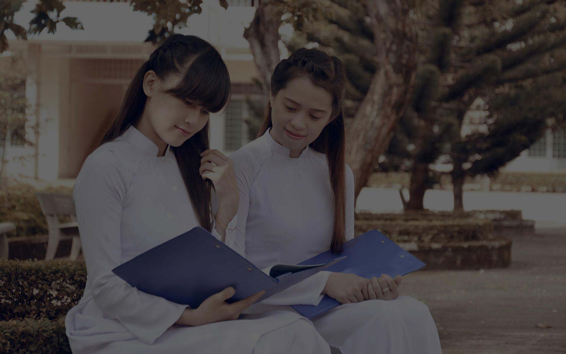 ddos在线网页端